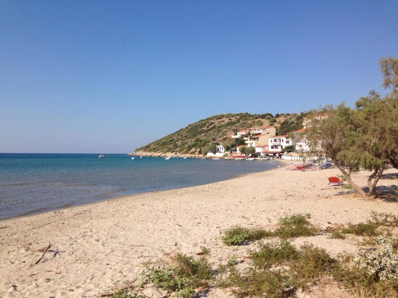 Platia