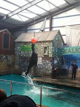 Knowsley Adventure Centre