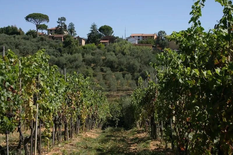 Tuscan style villa with swimming pool ideal for families and large groups