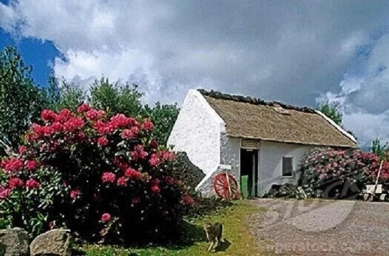Cottage in a relaxing setting on the Ring of Kerry route on the Wild Atlantic