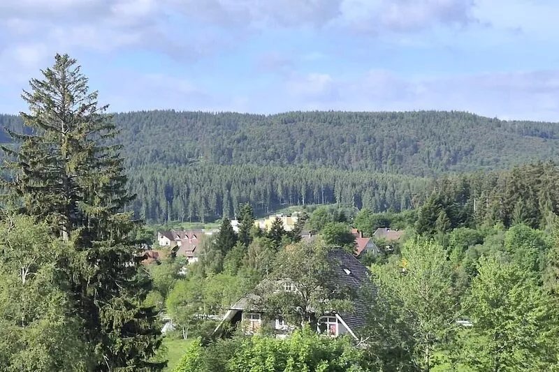 Comfortable lodge by the lake with a tile stove and a terrace with valley view