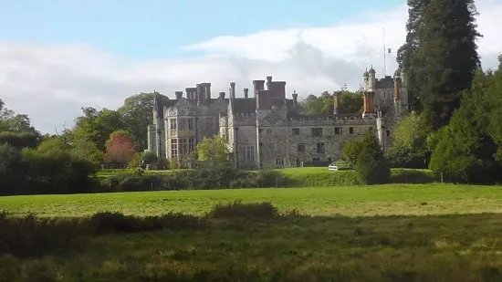 Rhinefield Ornamental Drive