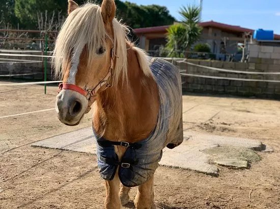 Salento Quad Safari