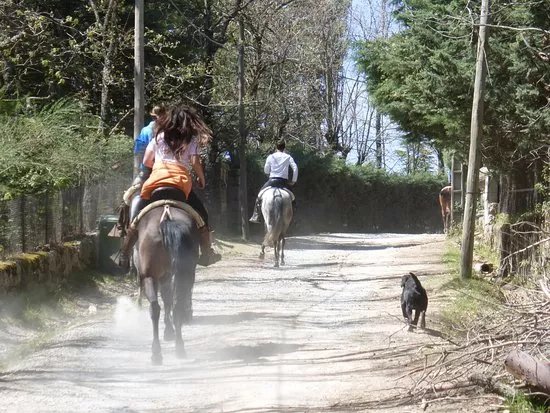 Centro Hipico Los Ciruelos