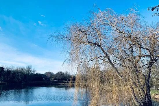 Outdoorpark Friesland