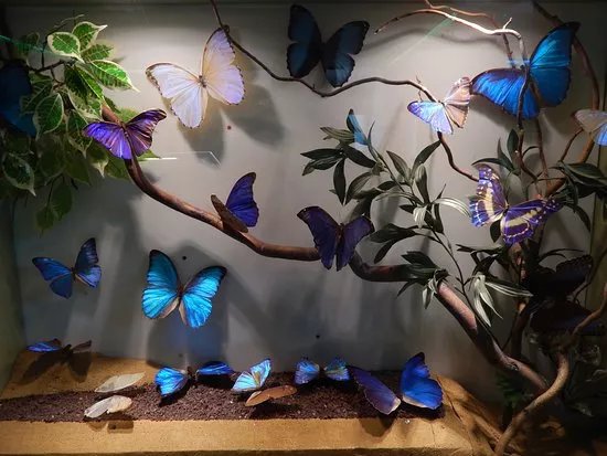 InsectPark