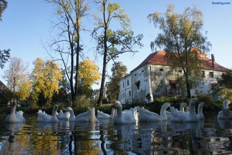 Piotrowice Nyskie Palace
