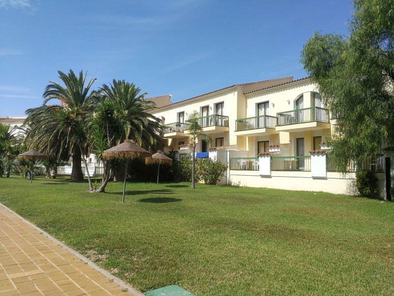 Pino Alto