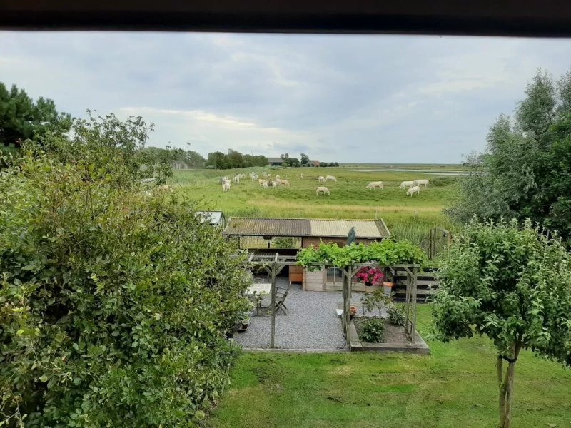 Bed & Breakfast De Rietgors