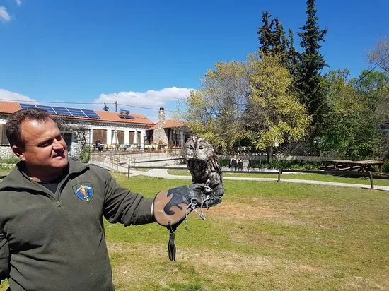 Parko Arpaktikon Imerovion & Niktovion Ptinon