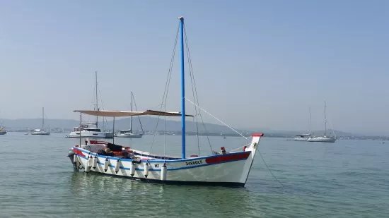 Ria Formosa Boat Tours - Algarve Day Trips