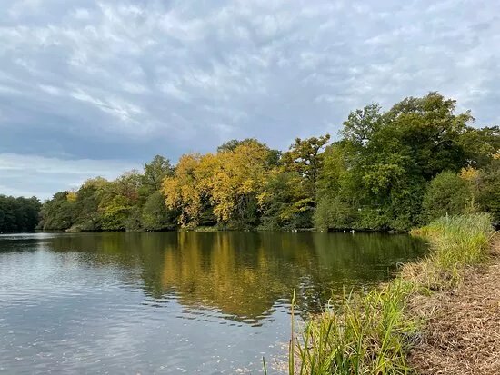 Whiteknights Lake