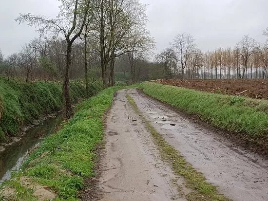 Via Francigena Tappa 12 - Da Mortara a Garlasco