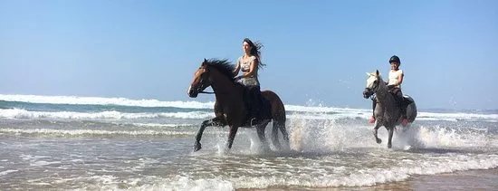 Horse Adventure Tours