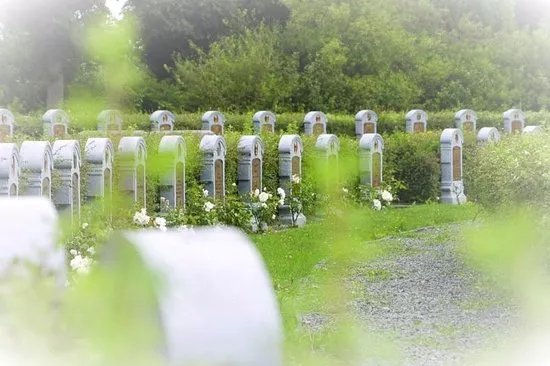 Belgische Militaire Begraafplaats Ramskapelle
