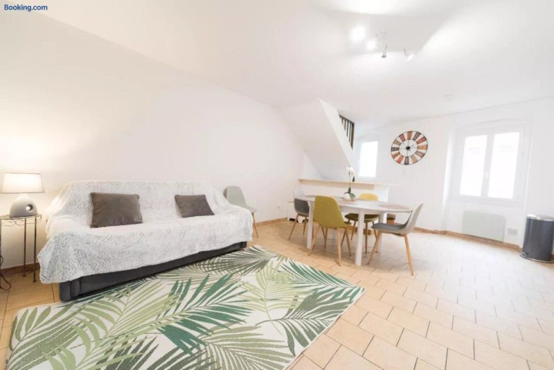 Ravissant Triplex Et Duplex Au Centre De Pont St Esprit