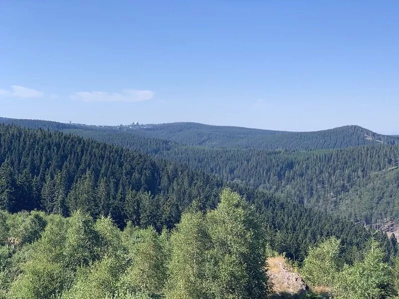 Vacation cottage in a quiet location for nature lovers (4 persons)