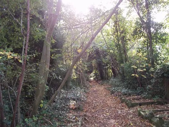 St Pancras and Islington Cemetery