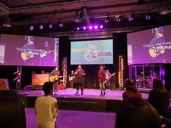Trent Vineyard