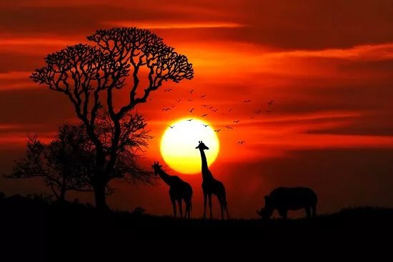 BEST Kilimanjaro CLIMBING | HIKING | BIKE TREK | Operator Serengeti Migration Safaris in Moshi or Arusha 2024 - 2025