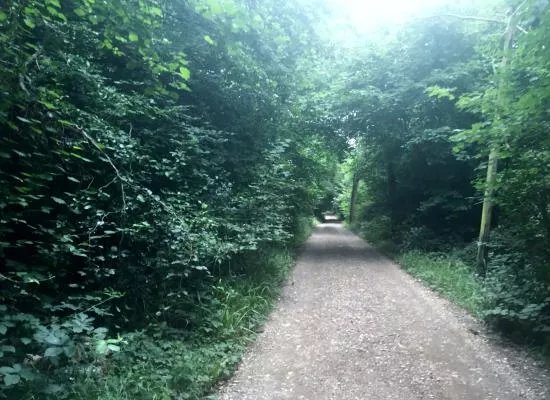 Great Bookham Common