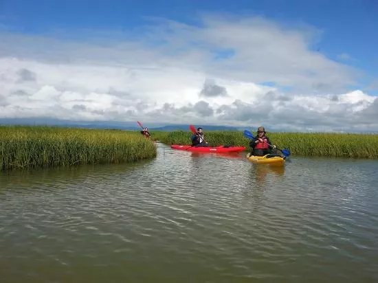 Kayakferdir