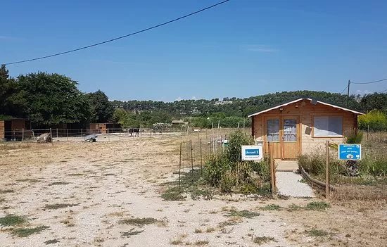 mon ami poney - Les Pennes Mirabeau