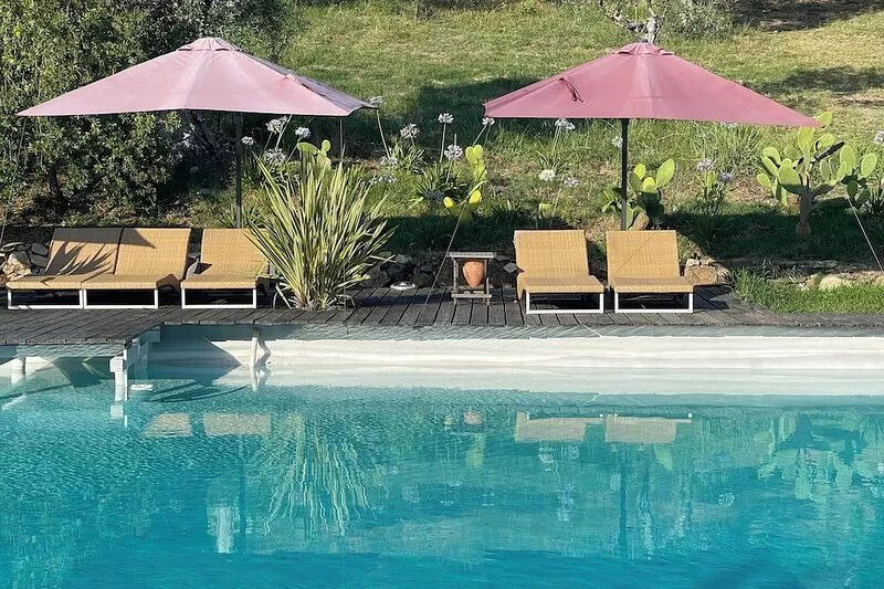 Romantic HideAway in an Old Olive Grove - EcoTourism - Huge Pool - E-Charger