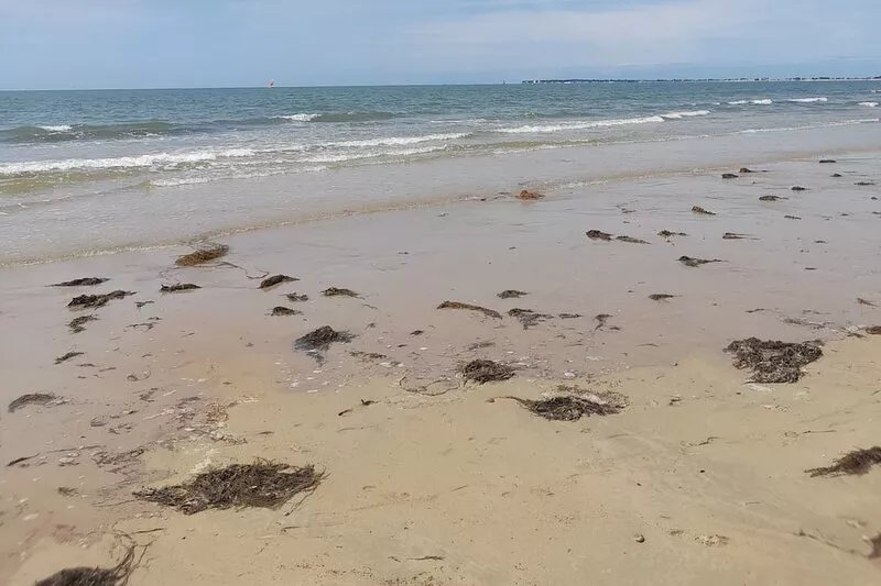 Ile de Noirmoutier, Barbâtre - 3 bedroom house