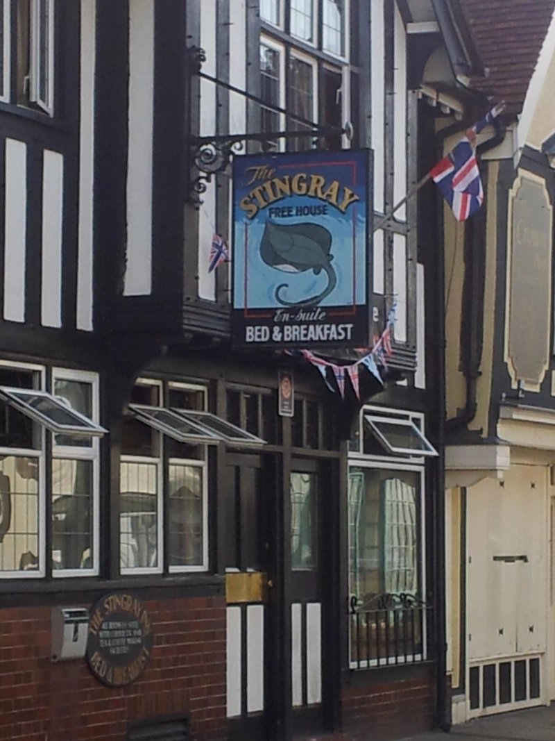 The Stingray