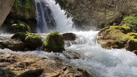 Natural Monument Ripaljka