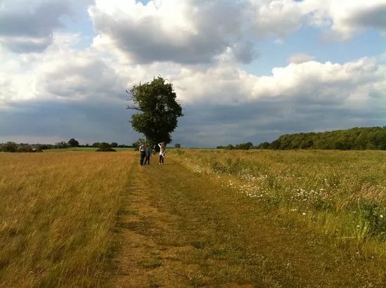 High Ash Farm