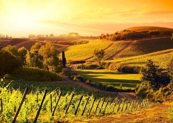 Sunny Tuscany & Italy - Day Tours