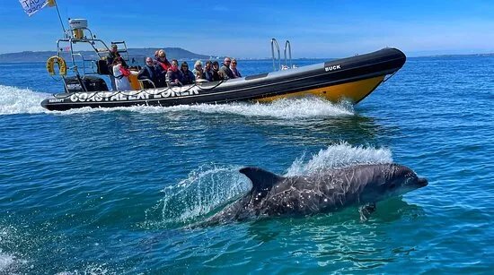 Weymouth Bay Rib Charter