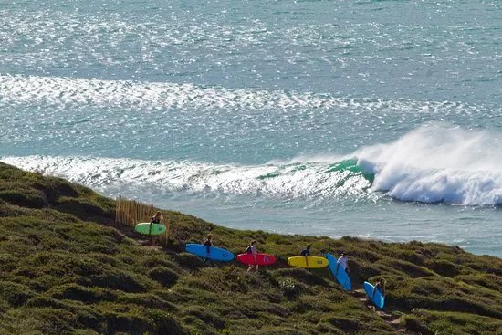Mahi-Mahi Surf School