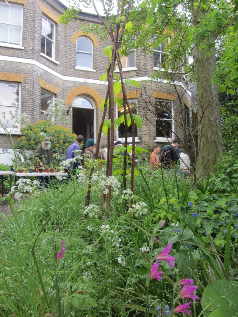 South London Botanical Institute