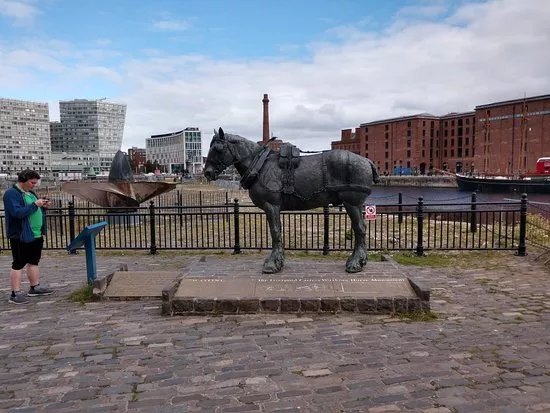 Waiting: The Monument To The Liverpool Working Horse