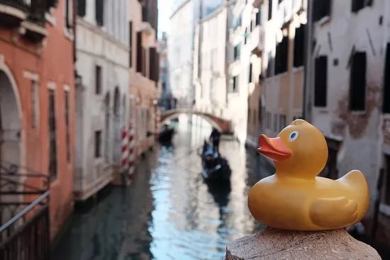 myvenicexperience