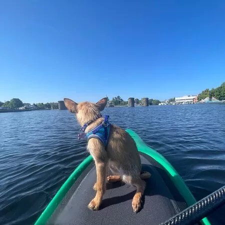 Galway Kayak Tours