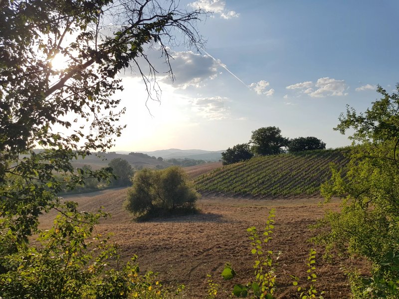 Azienda Agricola Poggiarellino