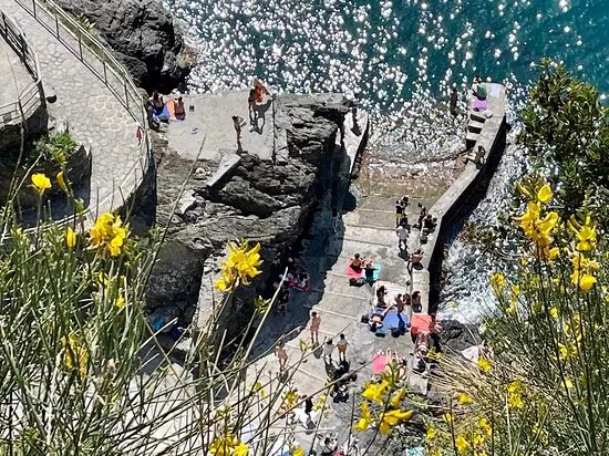 Spiaggia Di Manarola ( Palaedo )