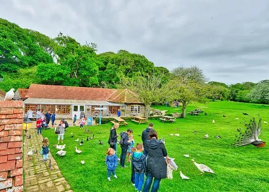 The Water Mill & Museums