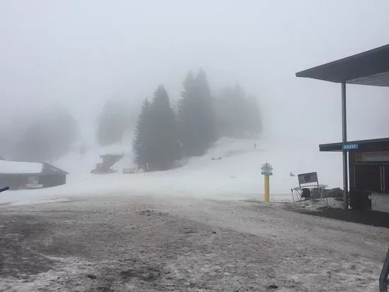Black Forest Magic