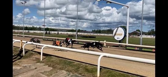 Newcastle Greyhound Stadium