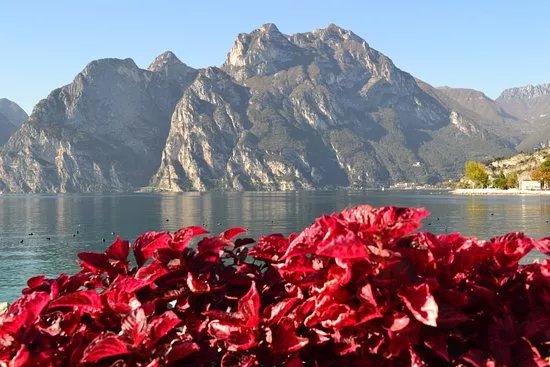 Info Office Torbole sul Garda