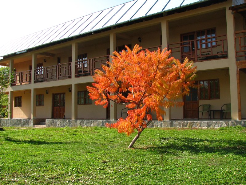 Pensiunea Slanic si Vila Claudia