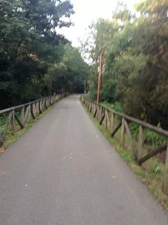 Senda Verde Oviedo Fuso de la Reina