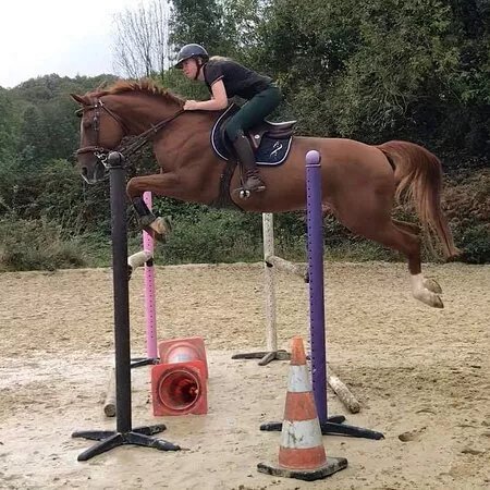 Poney Club ACP
