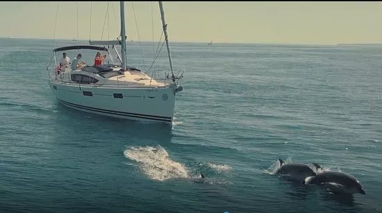 Barco en Alquiler
