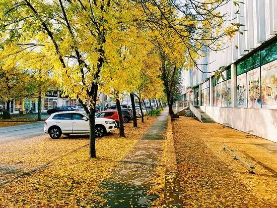 Budapest Chinatown